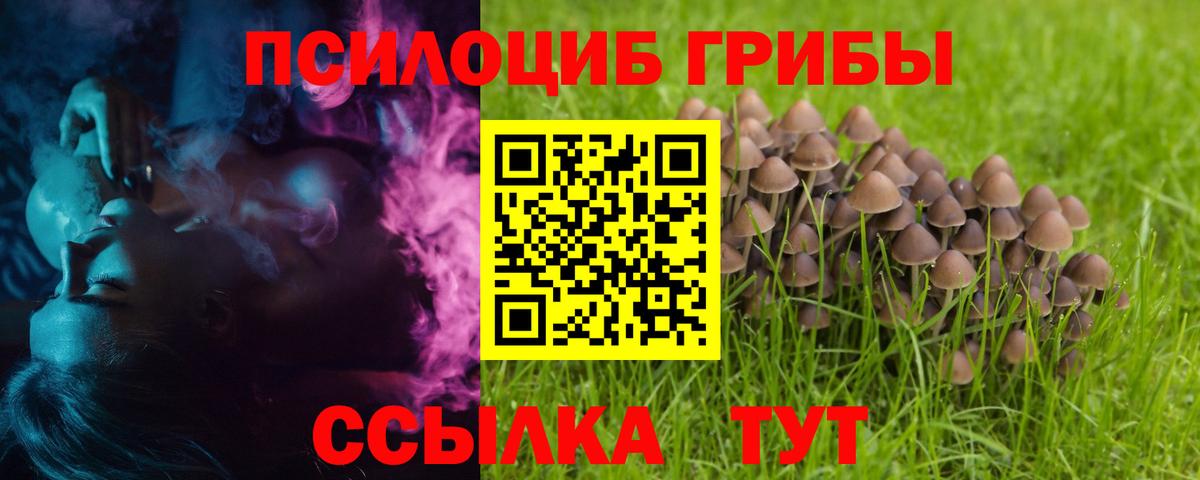 Псилоцибиновые грибы ЛСД Протвино